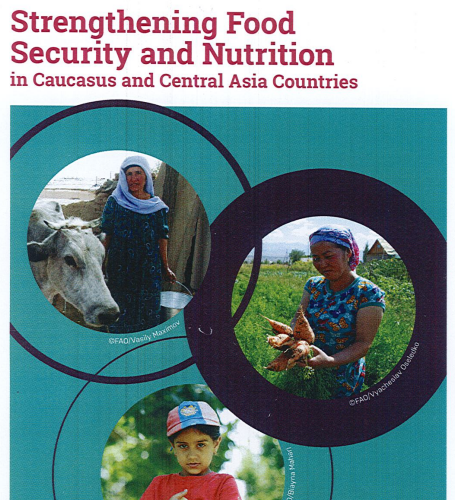 strengthening food nutrition